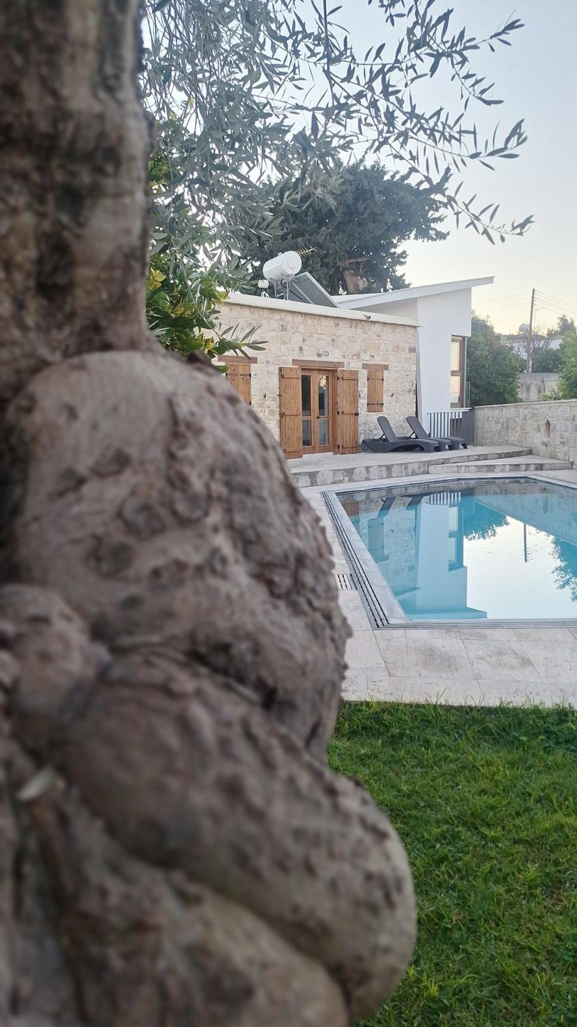 Maison d'hôtes Kaizer Agrotourism à Amargeti Extérieur photo