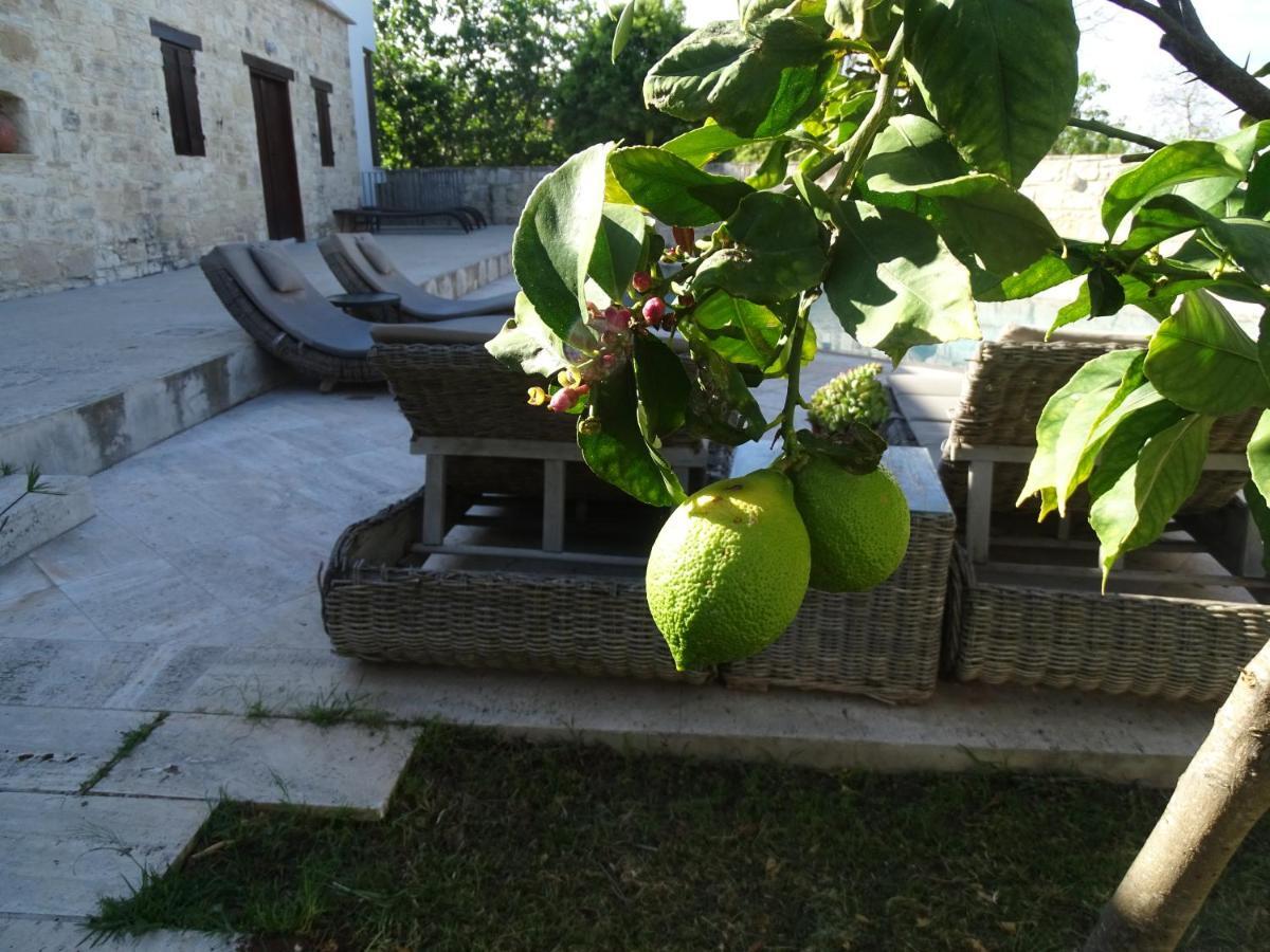 Maison d'hôtes Kaizer Agrotourism à Amargeti Extérieur photo